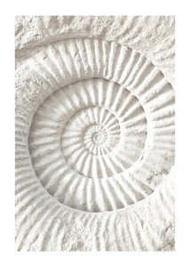  The Nautilus Carving