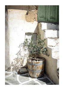  Olive Tree Entrance